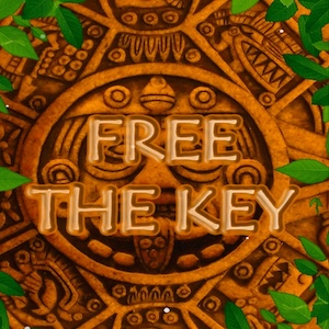 Free The Key
